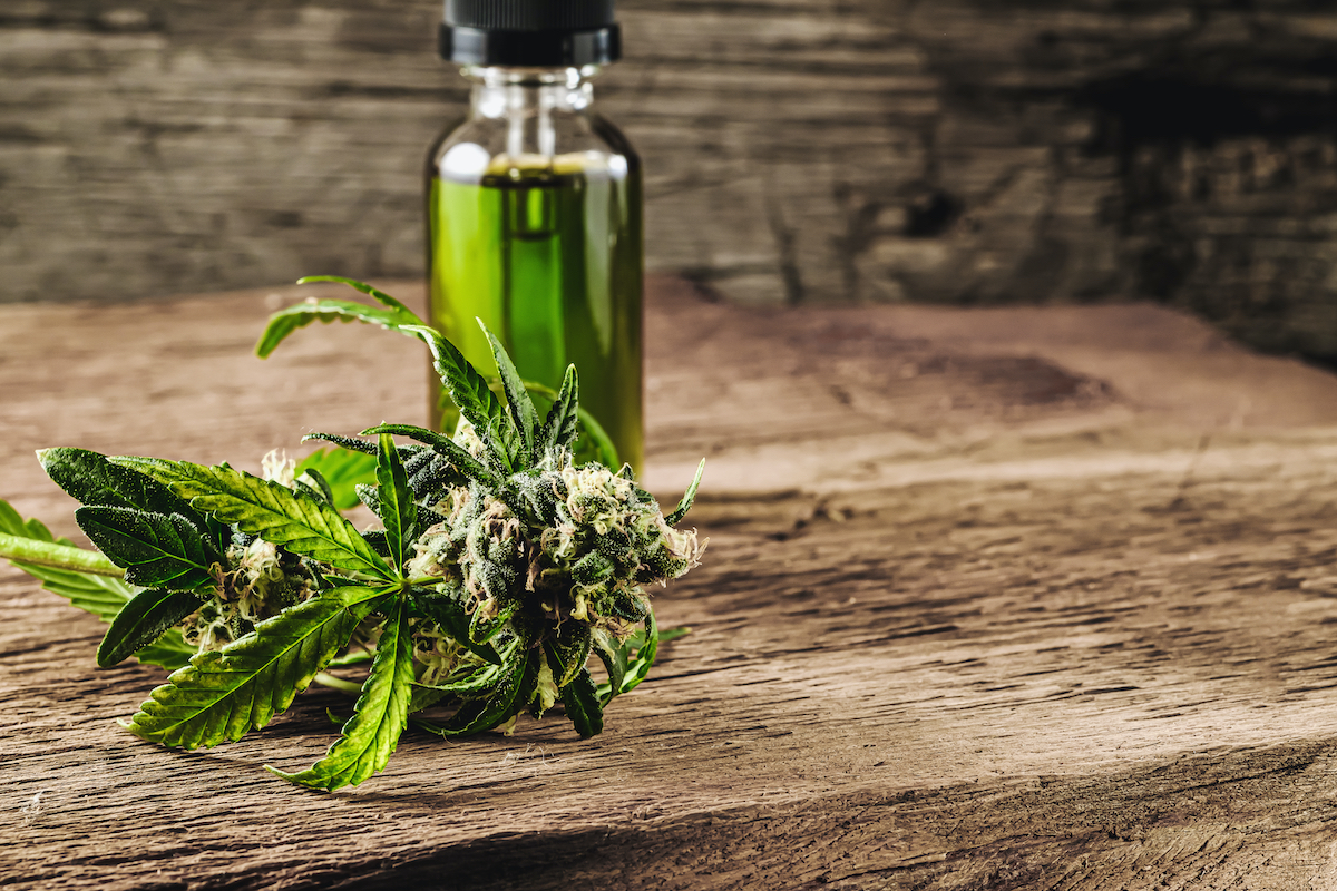 L'importation et l'exportation de produits à base de CBD : régulations et enjeux