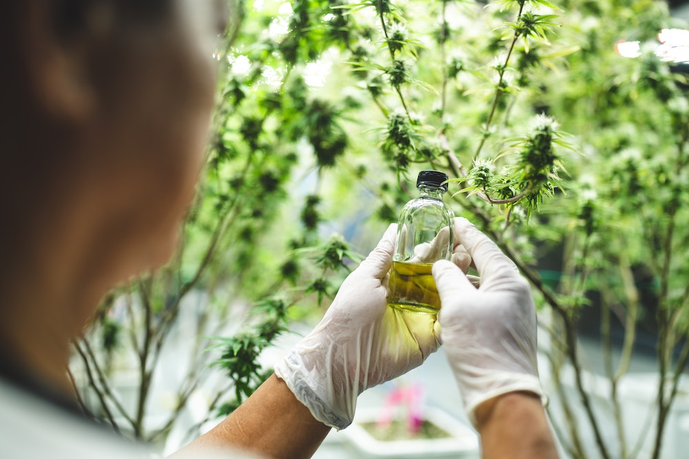 Les défis juridiques de la commercialisation des bonbons CBD